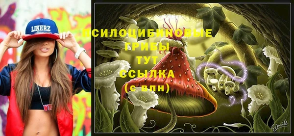 сатива Алексин