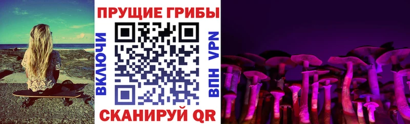 Псилоцибиновые грибы прущие грибы  Полысаево 