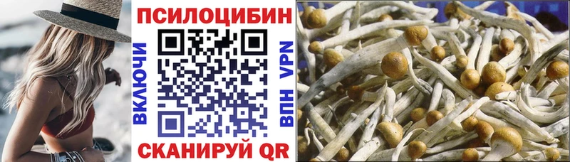 Галлюциногенные грибы мицелий Полысаево